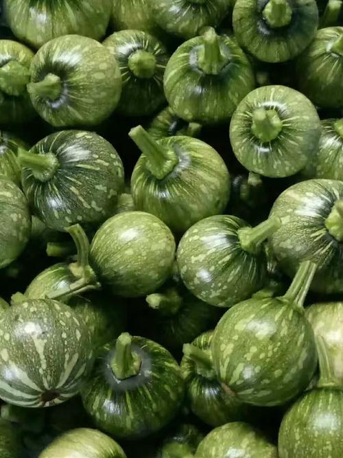 全綠色食品 健康與自然的完美結合